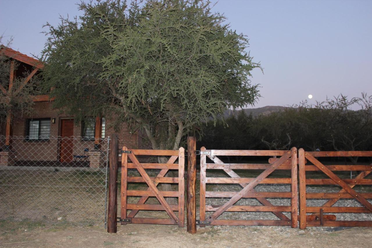 Casa Crisolito Holiday home